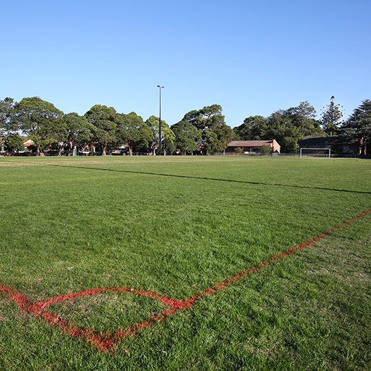 Balmain Road Sporting Ground soccer pitch